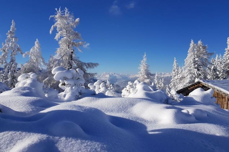 Wandern mit Skiern im Schnee © Schladming-Dachstein_Marion Omulec