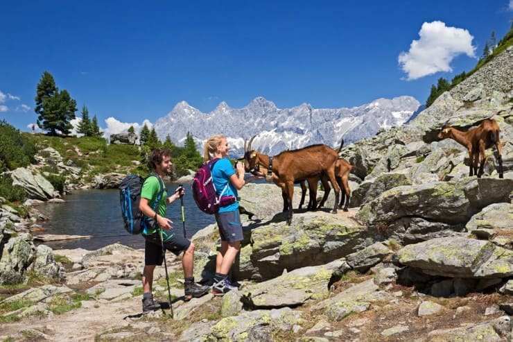 Wanderung in Schladming Dachstein (c) Schladming Dachstein Tourismus